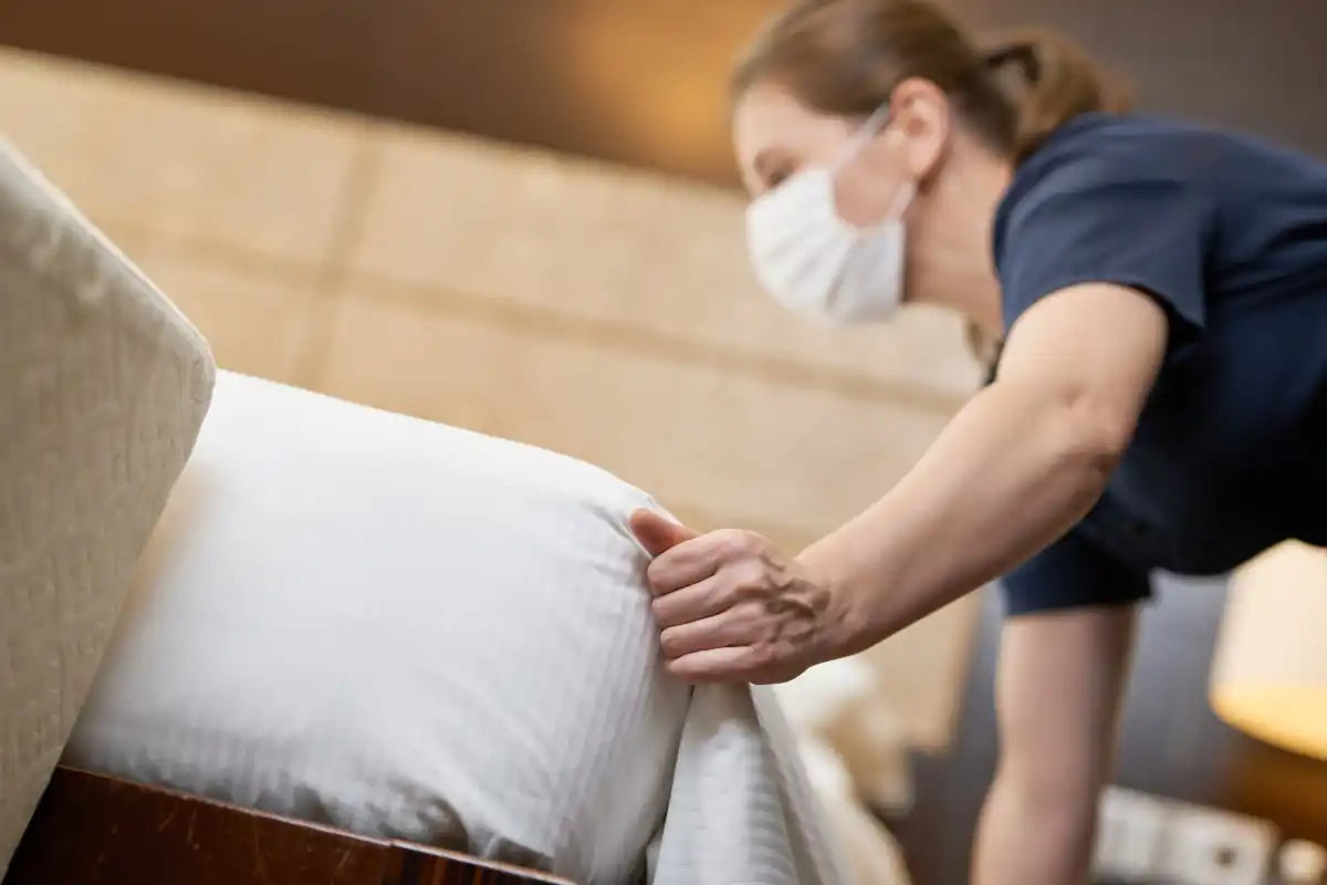 How You Can Get Rid of Bed Bugs Permanently How You Can Get Rid of Bed Bugs Permanently