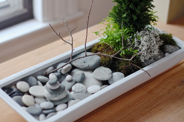 How To Make Your Own Mini Zen Garden From Scratch