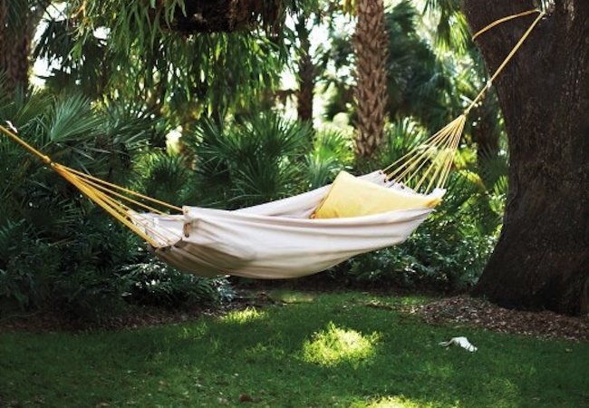 A Hammock