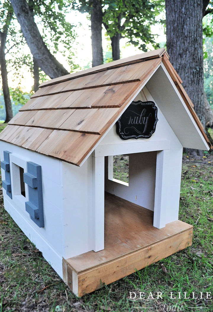 A Home For Your Furry Friend