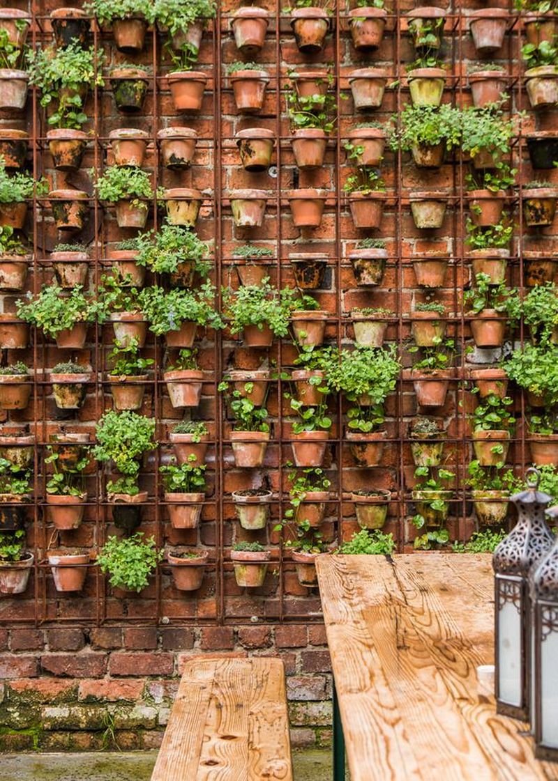 A Wall of Herbs