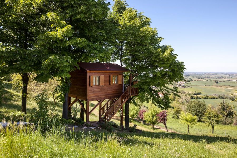 A cabin on the hill among tree canopies