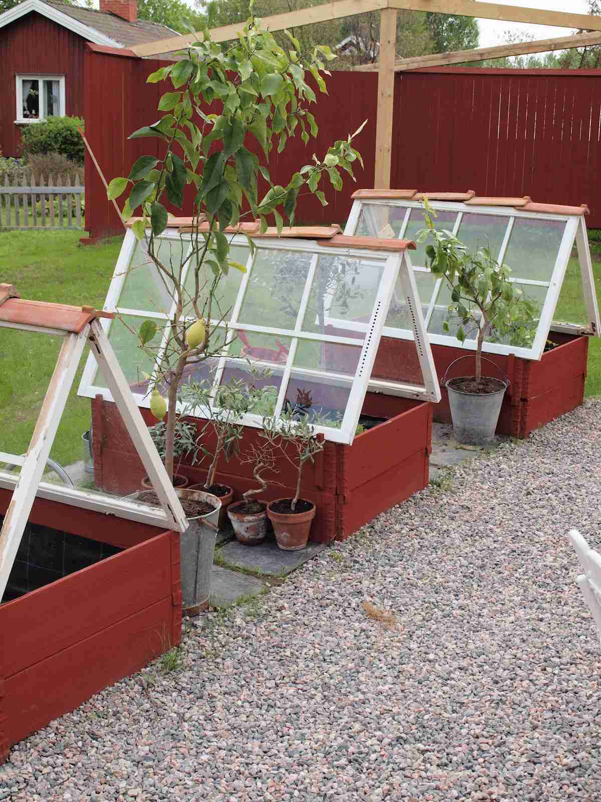 A frame ground green houses