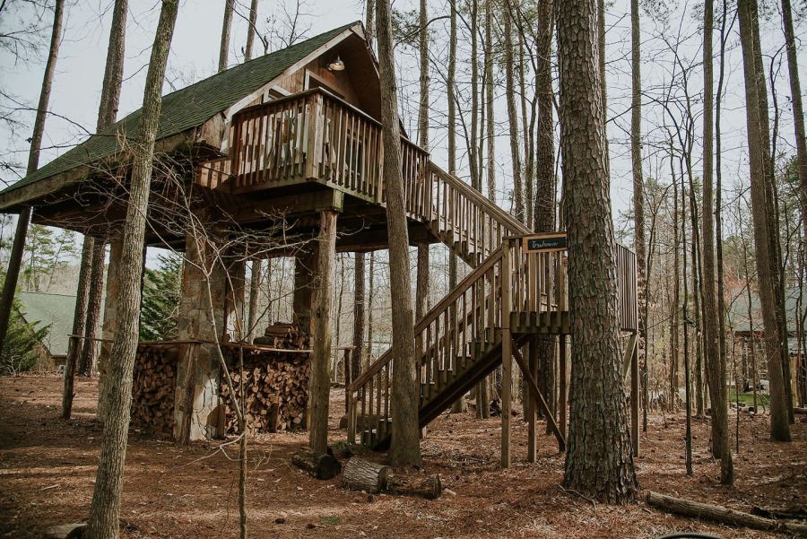 A glamorous little house among the trees