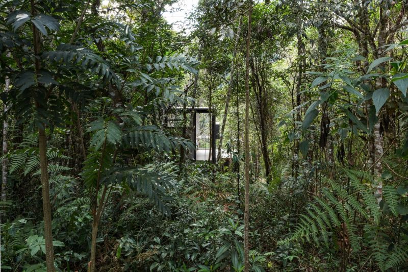 A modern chalet among the tree canopies woods view