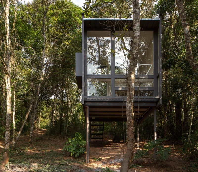 A modern chalet among the tree canopies