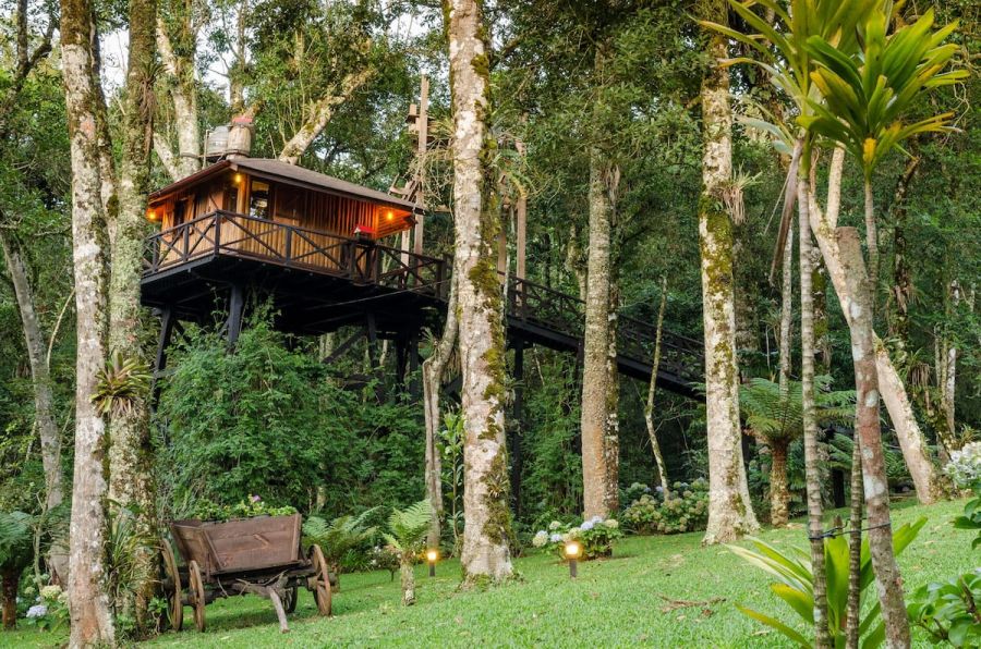 A modern little treehouse in the mountains