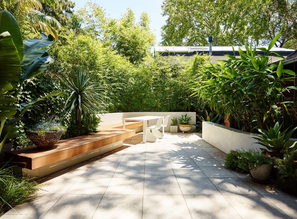 A small courtyard oasis