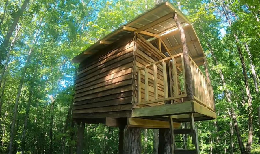 A treehouse in the woods