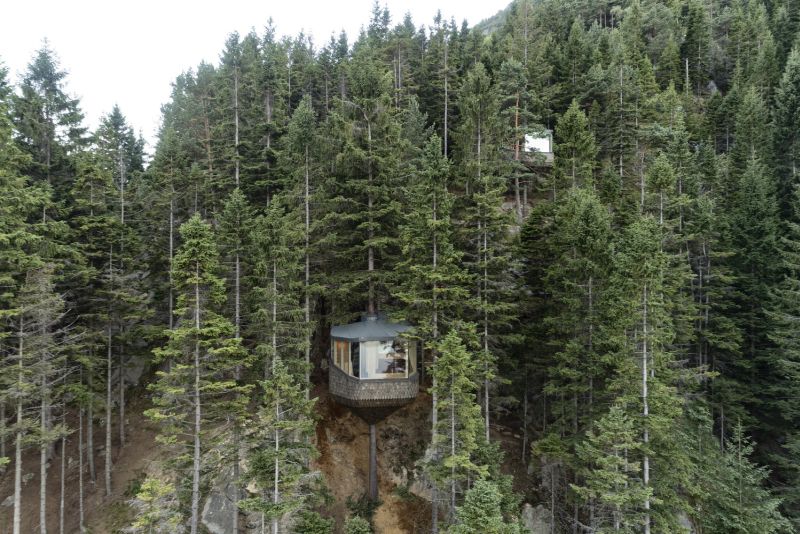 Forest tree houses