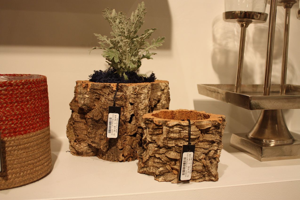 Small pots made from natural wood or bark are versatile and earthy.