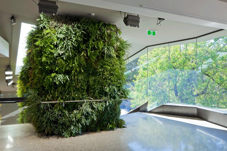 Adelaide Zoo Entrance Boasts Living Walls