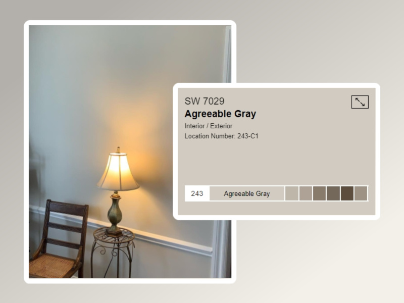 Agreeable Gray 7029