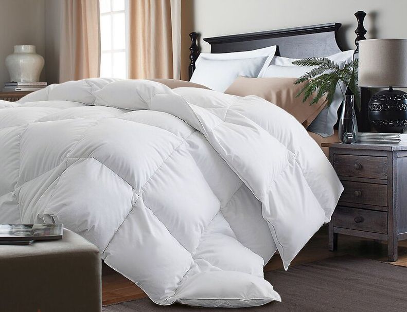 All Season Down & Feather Blend Comforter