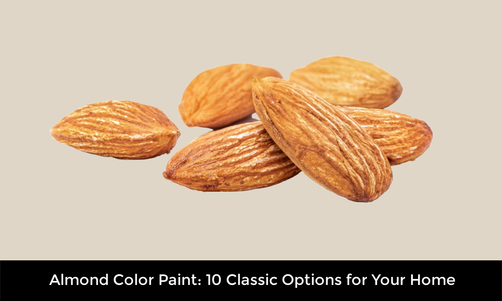 Almond Color Paint: 10 Classic Options for Your Home