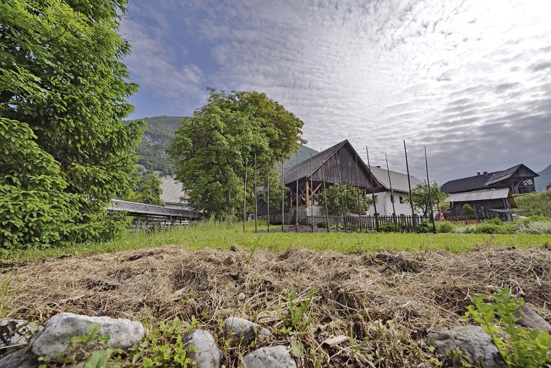 Alpine Barn Apartment Backyard