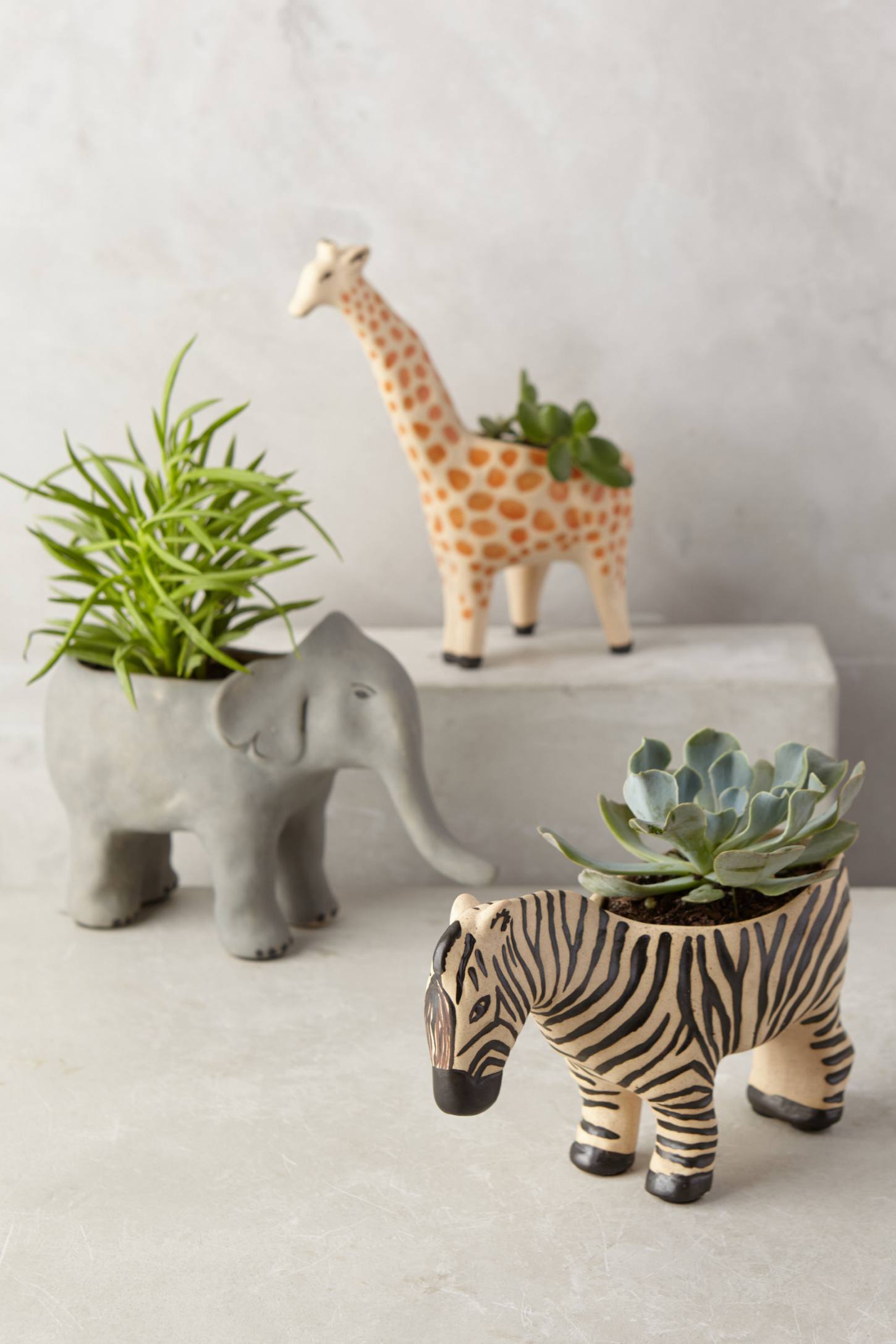 Animal succulent planter