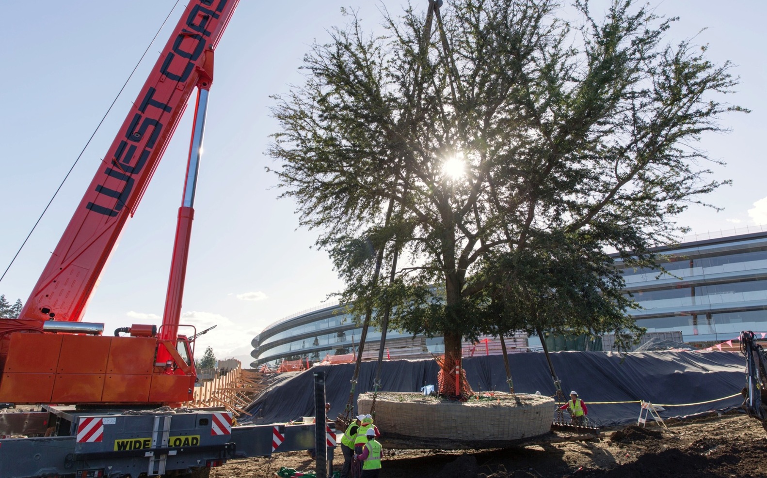 Apple Campus Architecture Construction