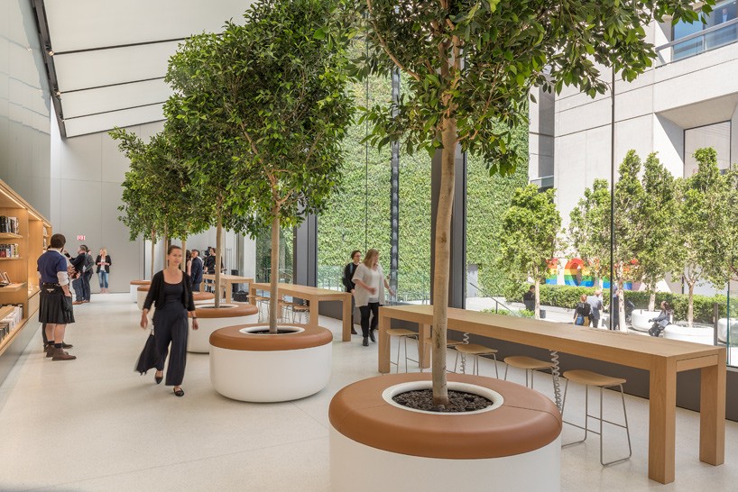 Apple San Francisco store lush vegetation