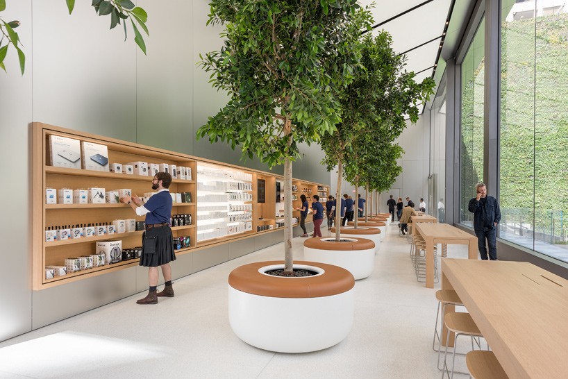 Apple San Francisco store trees with seating