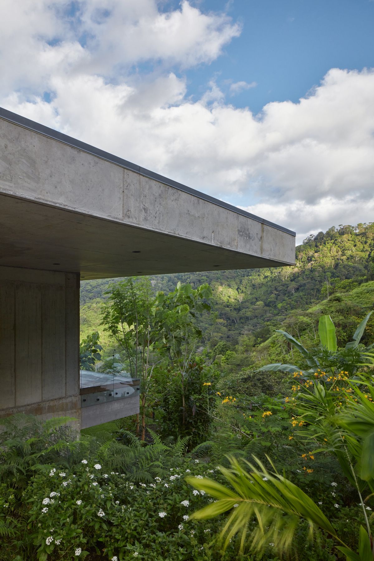 Art Villas Costa Rica by Formafatal lush vegetation