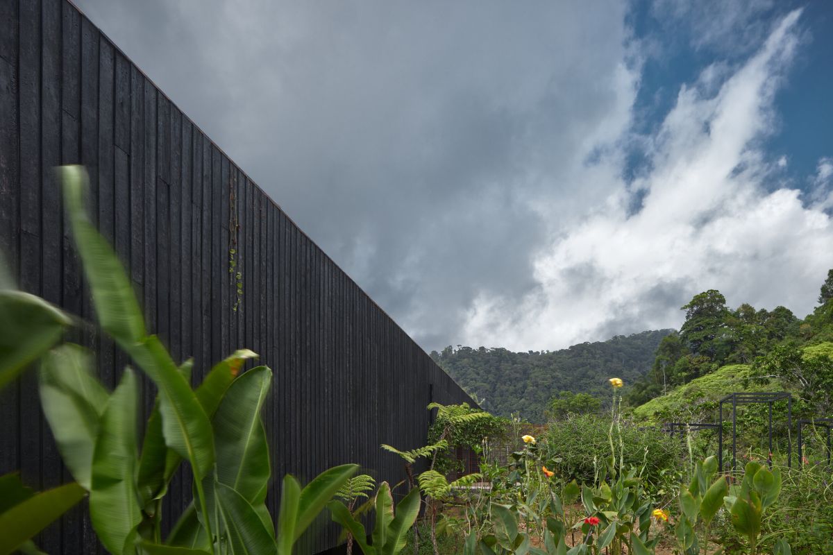 Atelier Costa Rica house with Green Roof by Formafatal wood clad