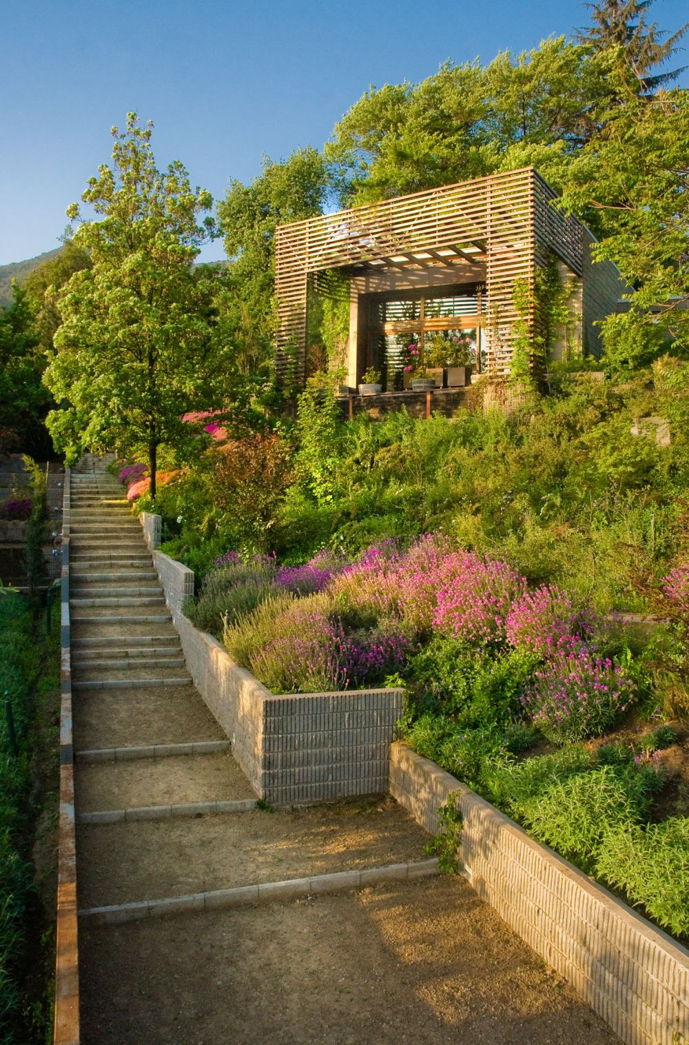 Backyard landscape design silva aldunat