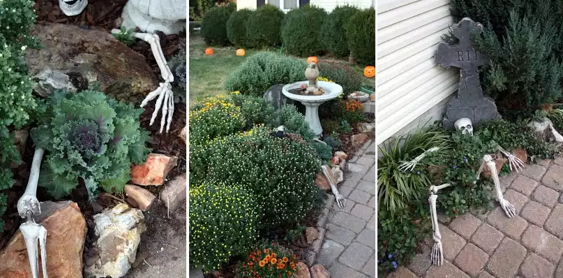 Backyard skeleton for Halloween