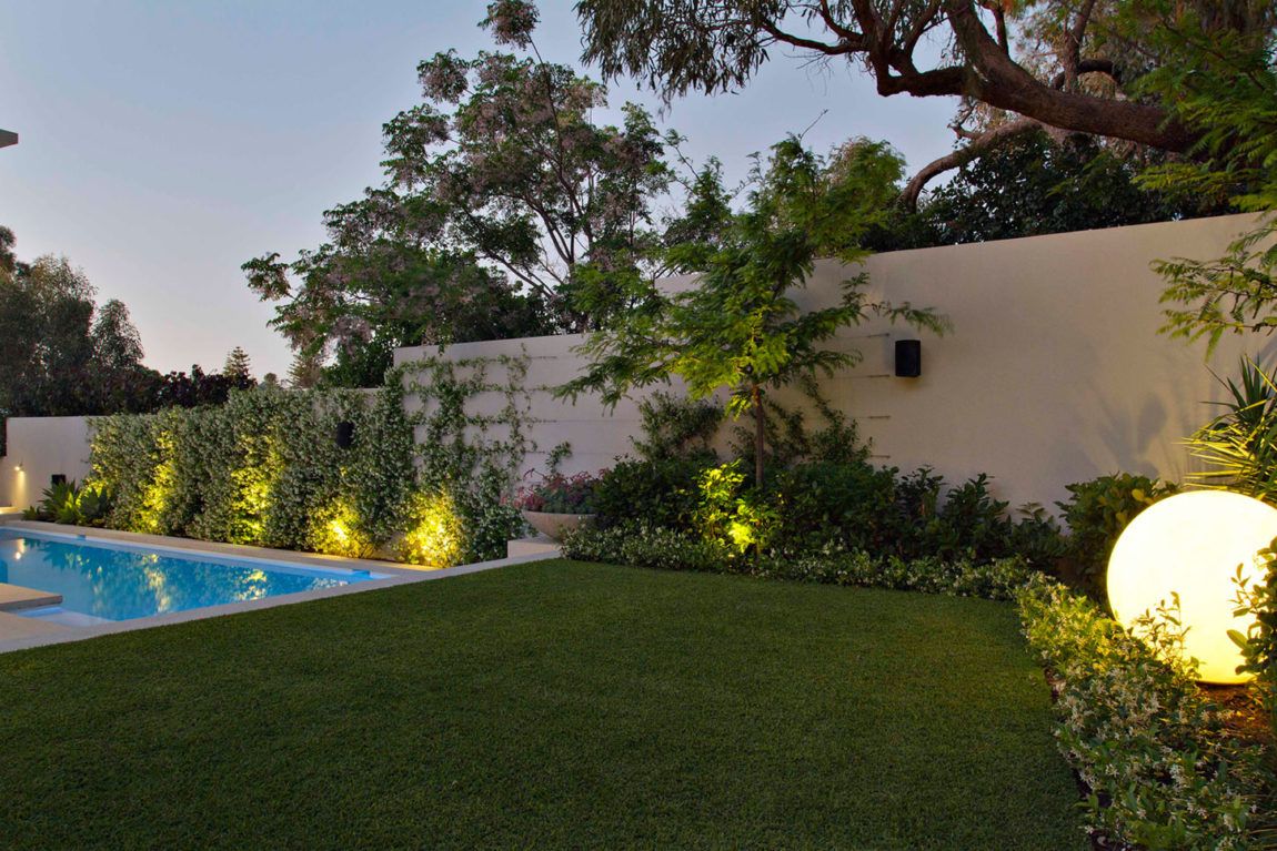 Backyard swimming pool and lush vegetation with lights