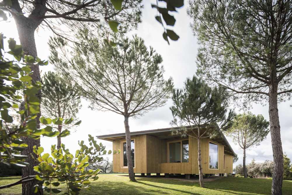 Barrocas PavilionPrefab by Carlos Castanheira trees around