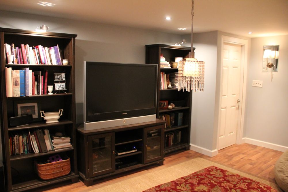 Basement living room