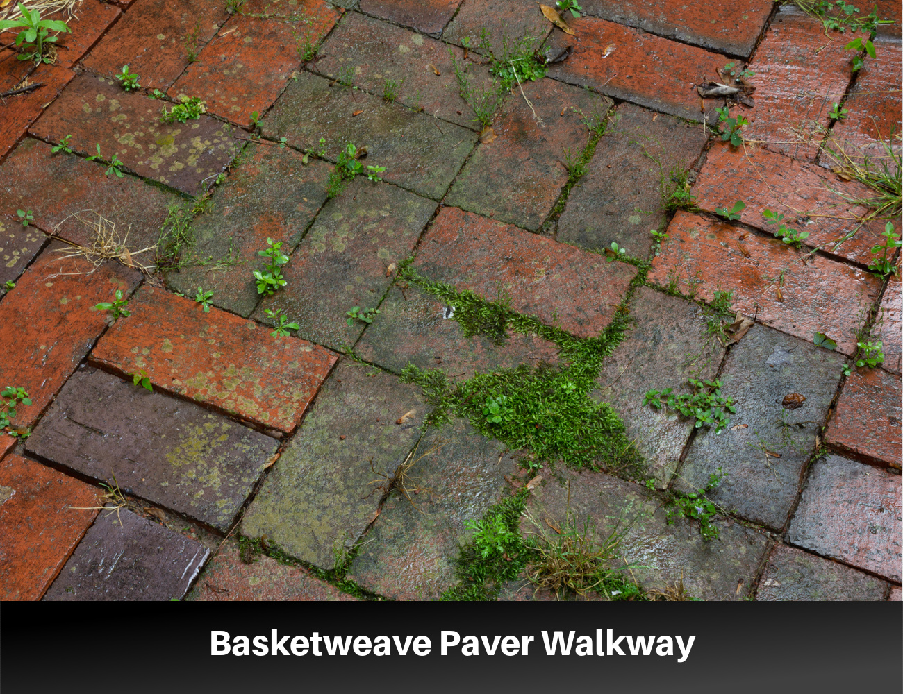 Basketweave Paver Walkway with Pea Gravel