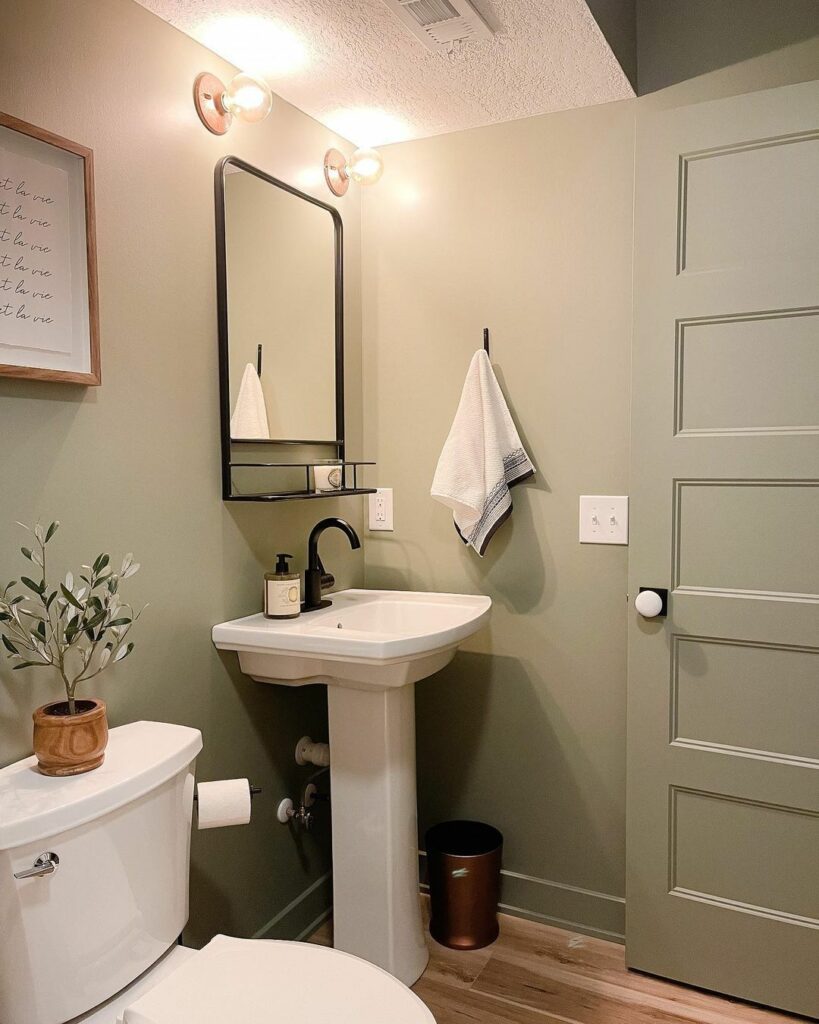 Paint a Dark Bathroom 