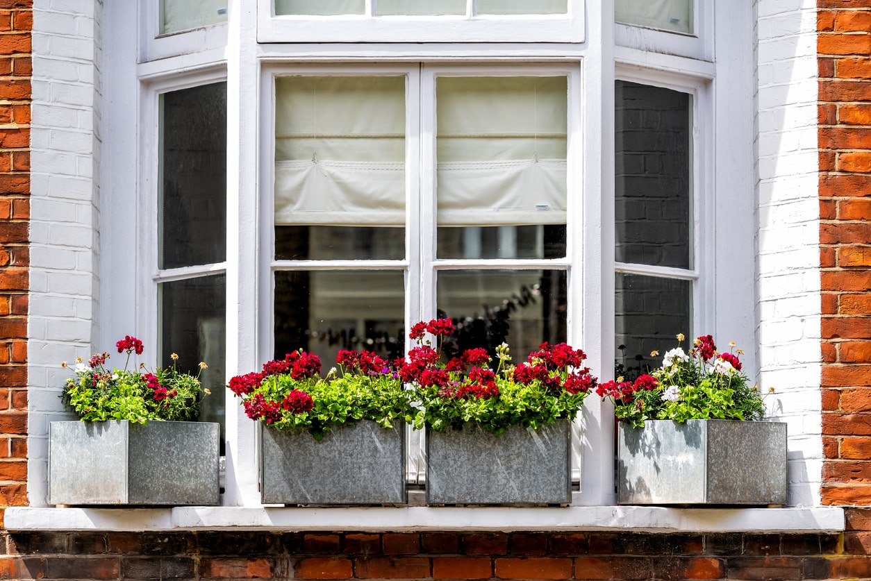 Bay Windows