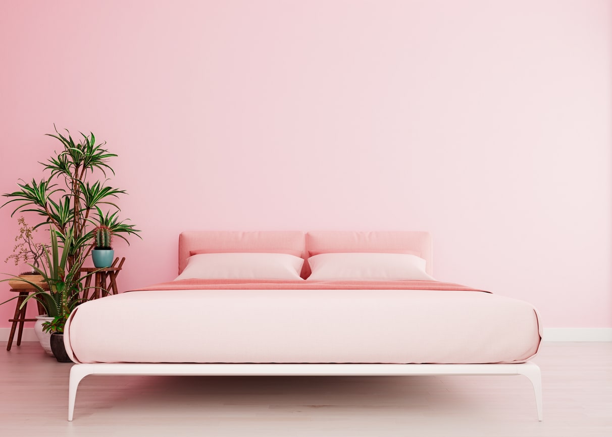 Bedroom Plants to Relieve Stress and Anxiety