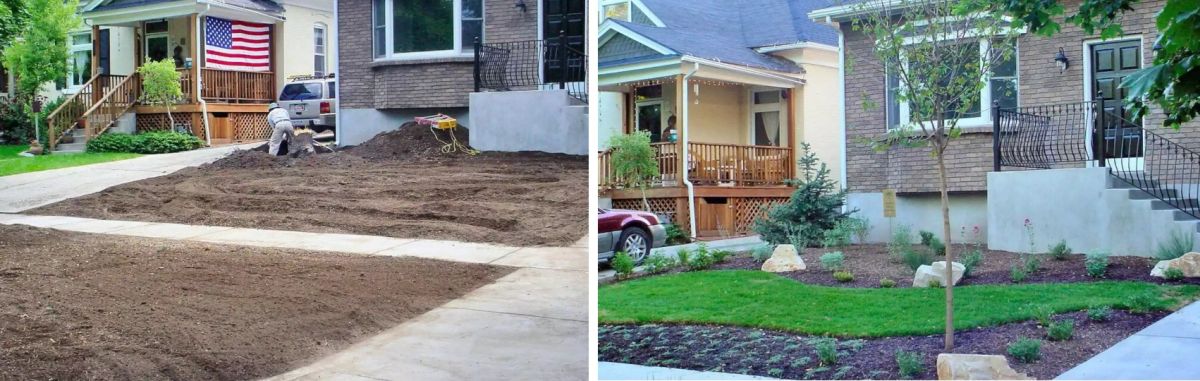 Before and after front yard renovation