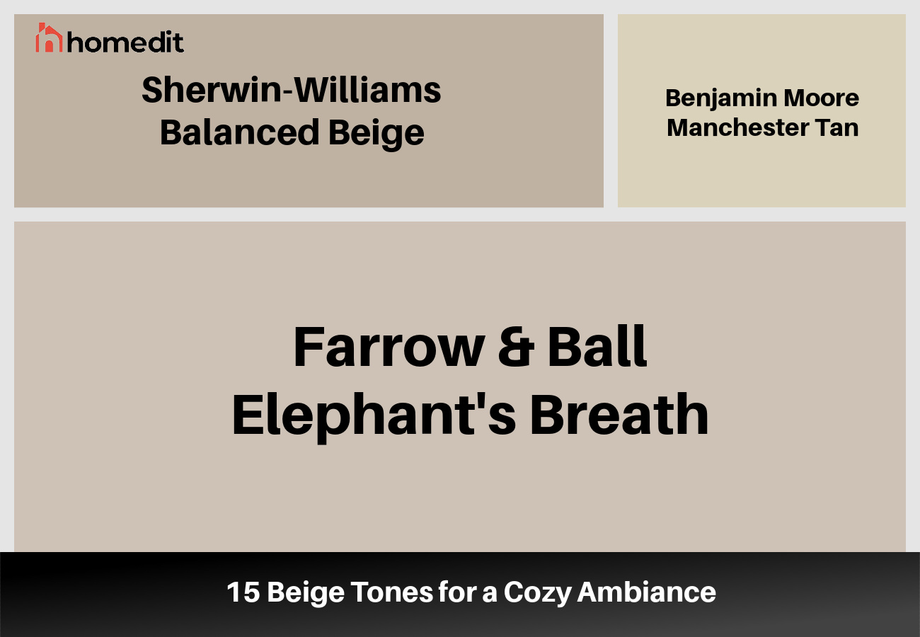 From Creamy to Rich: 15 Beige Tones for a Cozy Ambiance