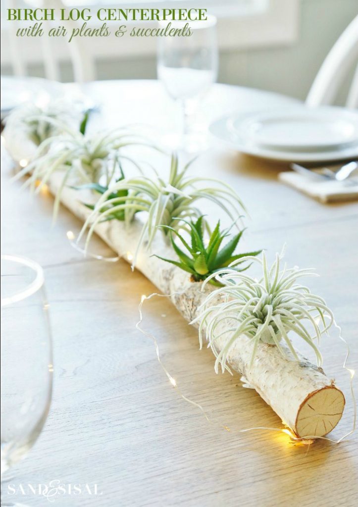 Birch Log Centerpiece Candle Holder