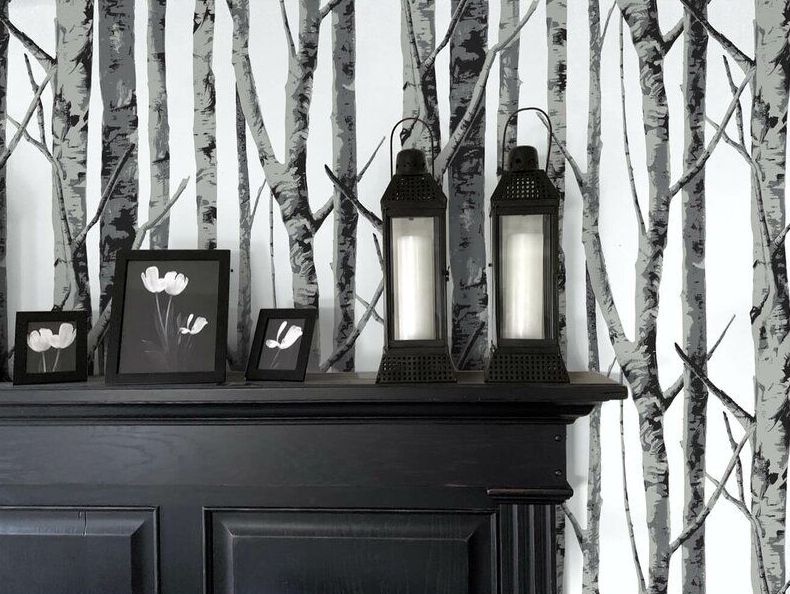 Calm Birch trees and neutrals