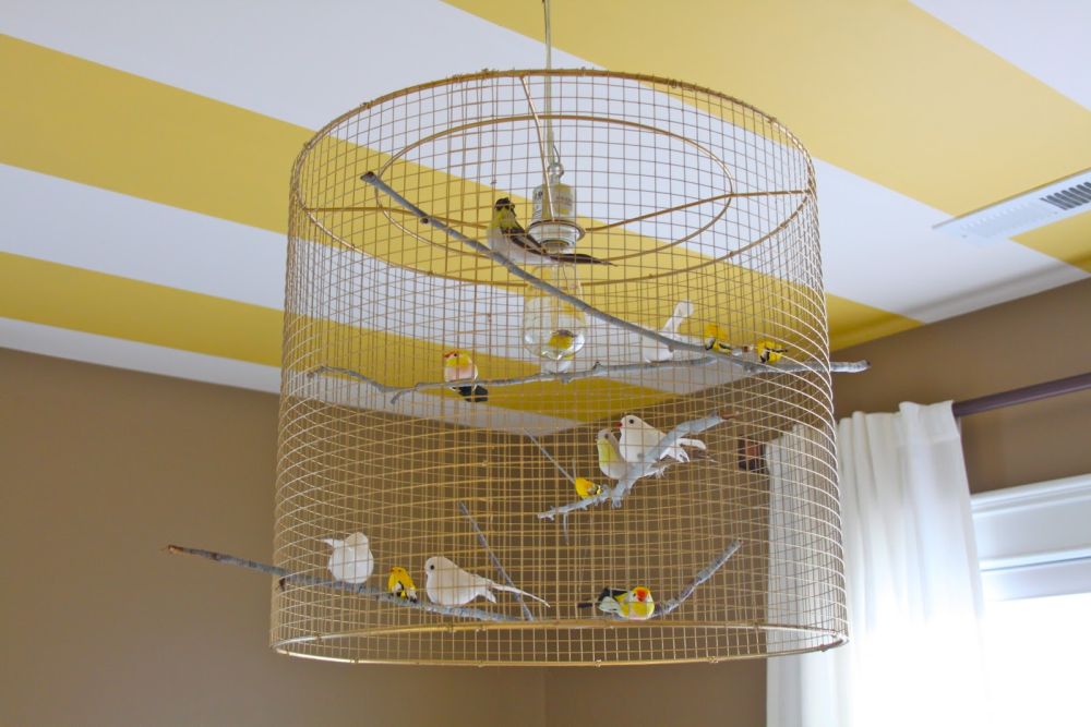 Bird cage lighting fixtures