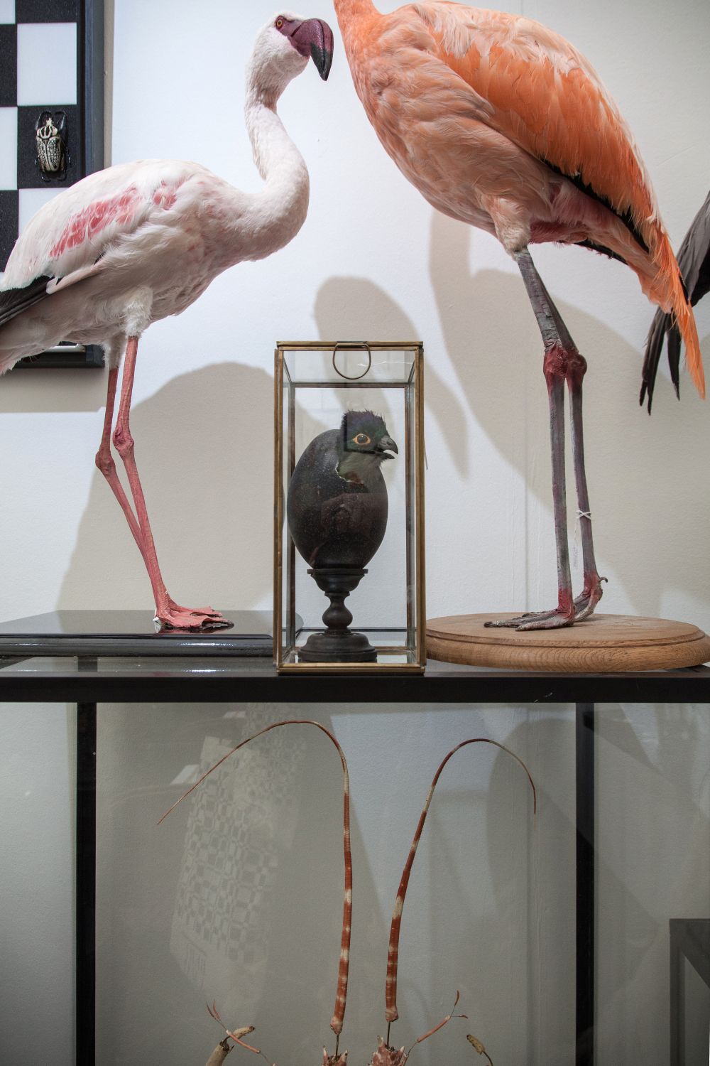 Birds and Flamingo decorating accessories