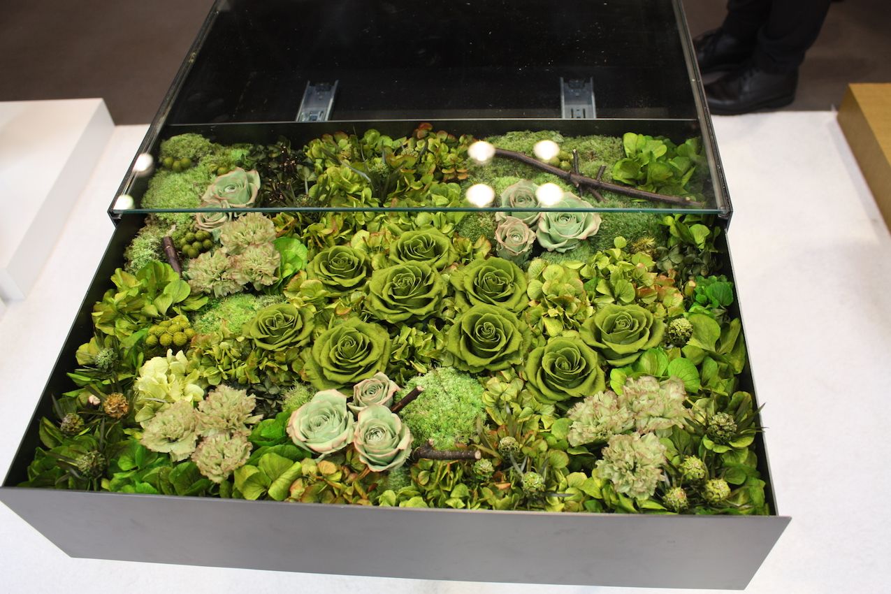 These preserved plants and flowers are still soft and supple.