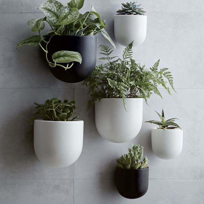 Black and White Wall Planters