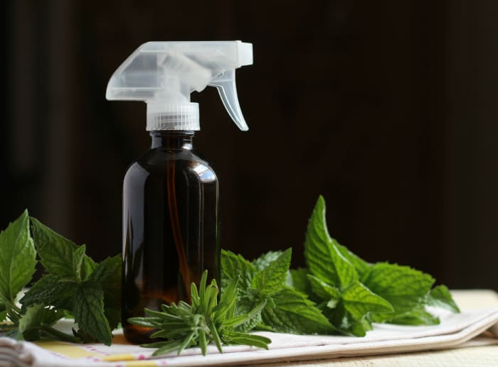 smell like fall Blended Essential Oil Spray