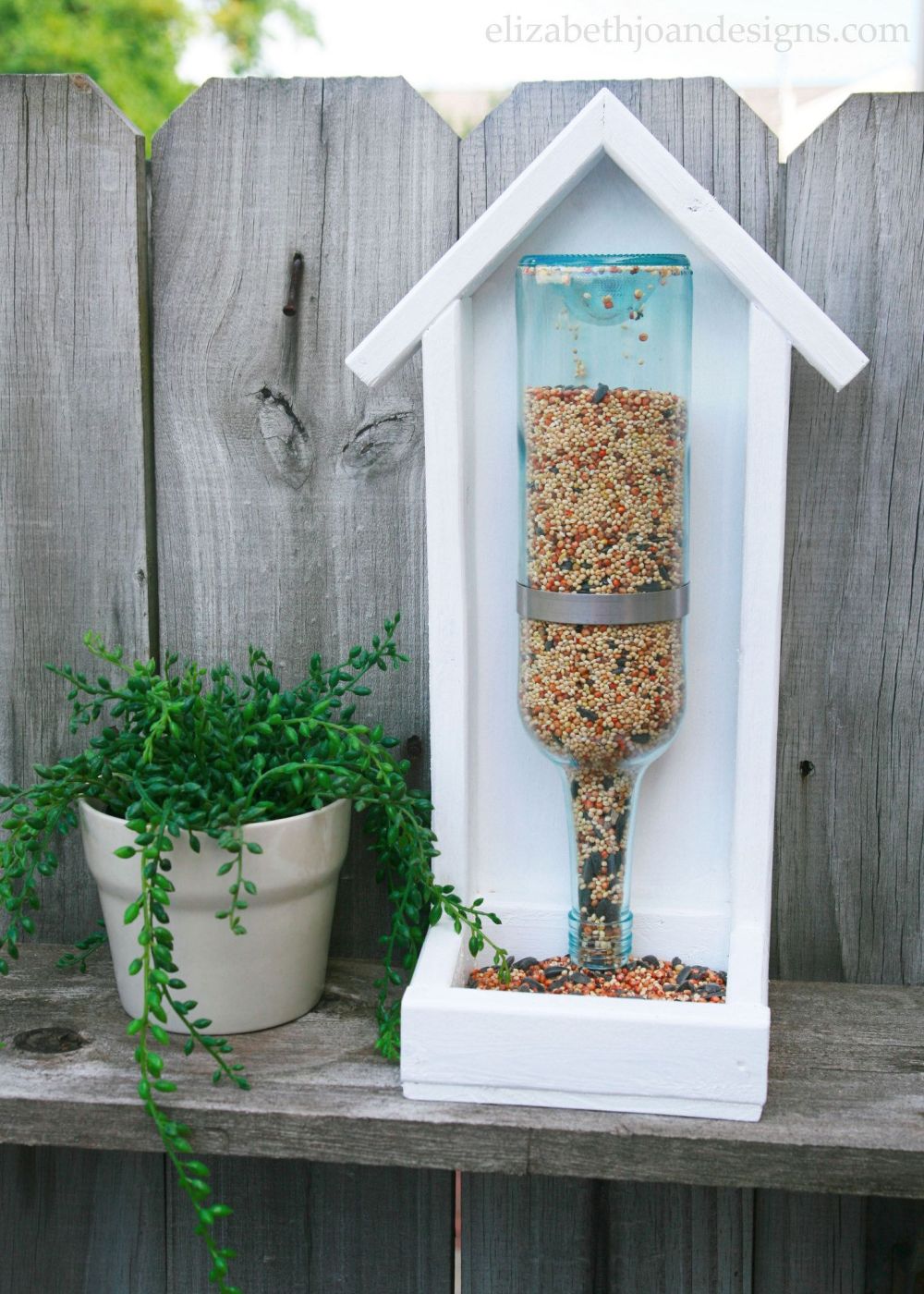 Bottle bird feeder