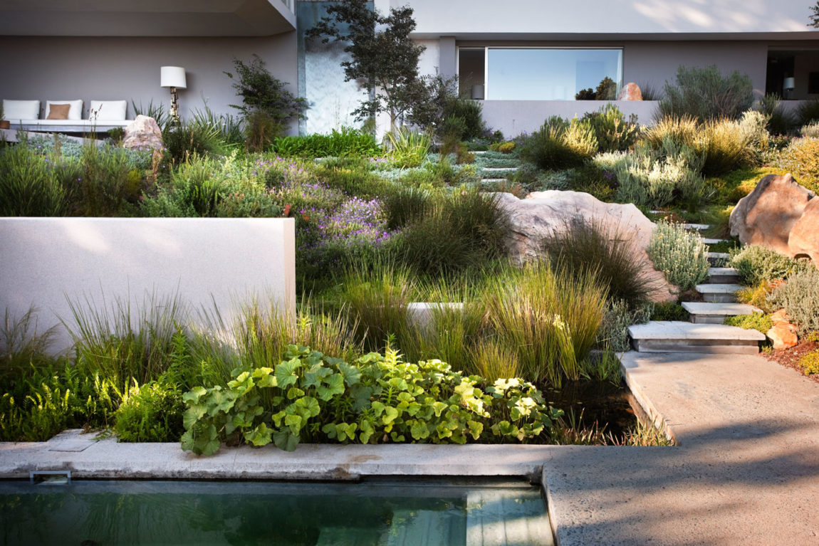 Bridle Road House Backyard Design
