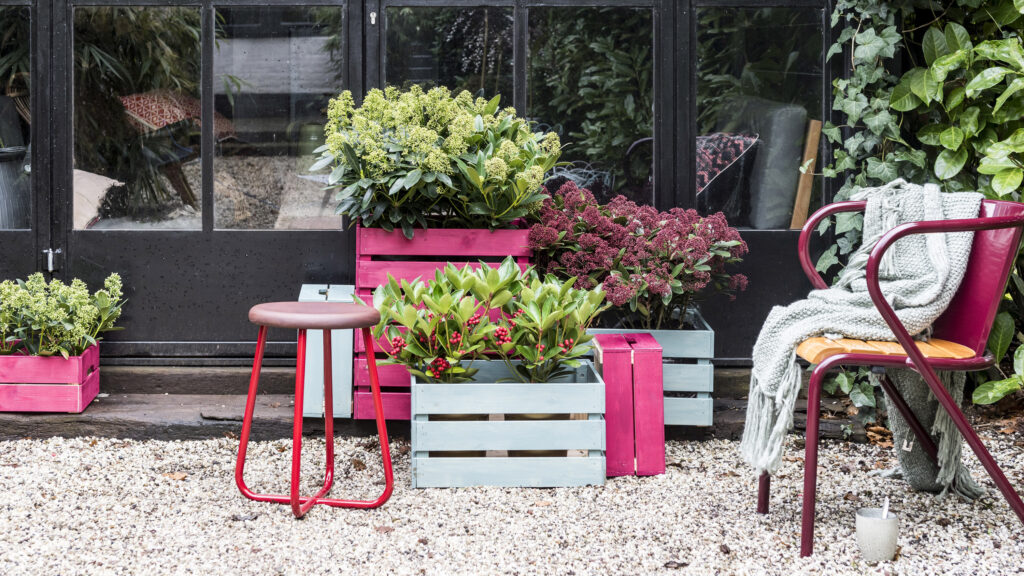 Bring Some Greenery onto Your Winter Patio