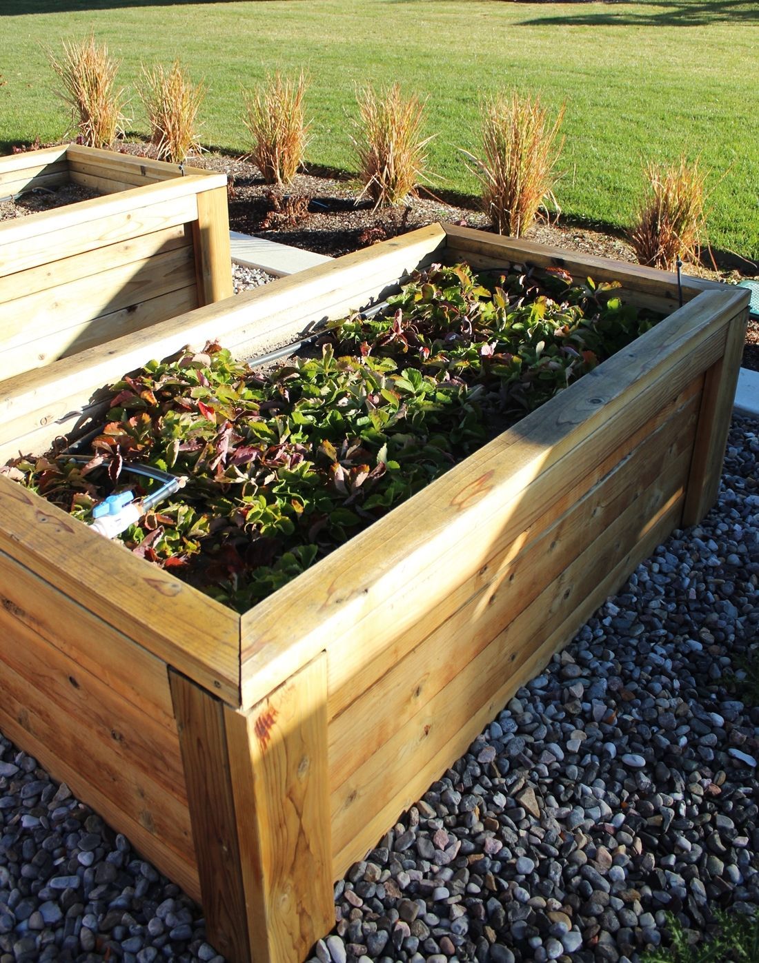 Build a raised garden bed