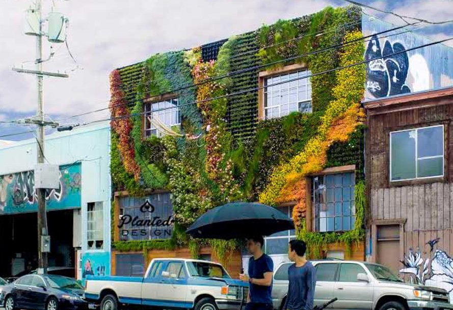 Building Living wall on San Francisco