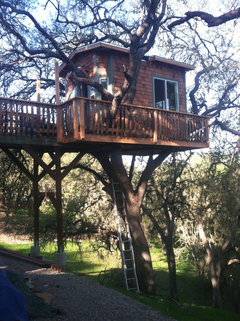 A house in the treetops with a large balcony